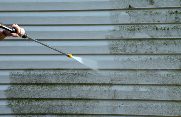 Best Roof Washing  in Frazer, PA